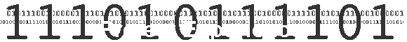 Project Experience